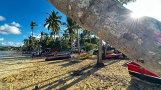 Casa Ballenas1 SF - Las Terrenas - 1