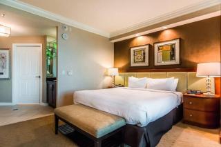 Elegant MGM Studio with Strip Views 22811 - Las Vegas - 2