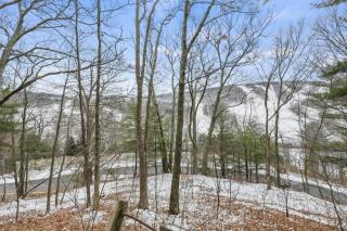 Family Ski House at Catamount - - 7