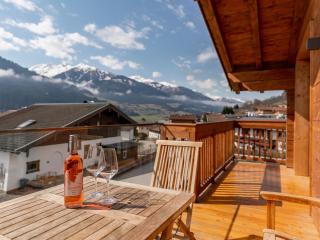 Green Garden Lodge A1 - Piesendorf - 9