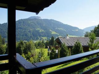 Grand Wastl Comfortable holiday residence - Wörgl - 5