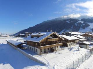 Alpin Residenzen Top 12 - Hollersbach im Pinzgau - 8