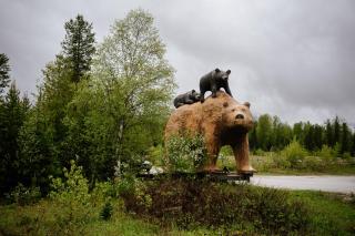 River Safari Mountain View Suite - 5