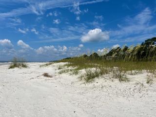 2nd Row Beach House - Private Pool - 4 King Bedrooms - 19 Oyster Catcher Rd - Hilton Head Island - 6