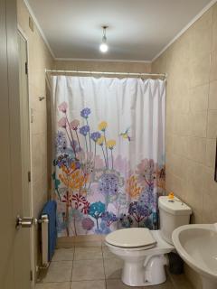 Departamento zona central de Valdivia - 4