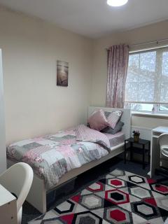 FEMALES Only - Lucan - 2