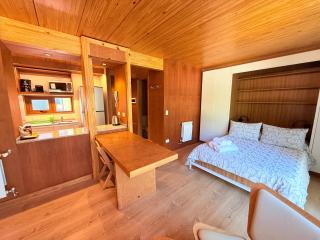 Hermoso monoambiente en el centro de SMA, muy cálido y modernoso V407 - San Martín de los Andes - 8