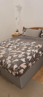 Comfy stay, Stockwell SW9 - Londra - 0