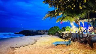 Grand Ocean Resort - 9