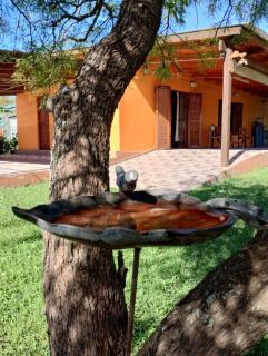 Casa Vero - Villa del Dique - 7