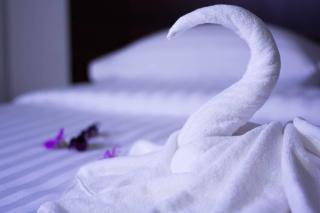 หมื่นช้างน่านบูทีคHotel - 1