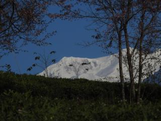 DENZONG HOMESTAY Lhadinkyu - 1
