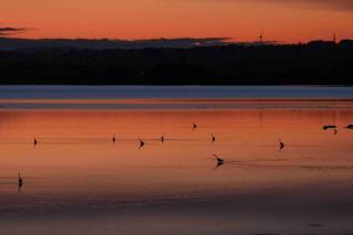 Montrose - ground floor 3-bedroom flat - 1