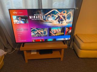 Montrose - ground floor 3-bedroom flat - 6