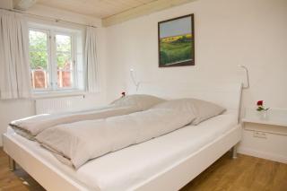 Wohnung-1 - Nebel - 9