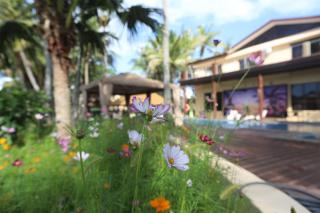 Rainbow holiday resort - - 6