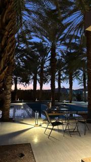 The palm hotel - Al-ʿUla - 2