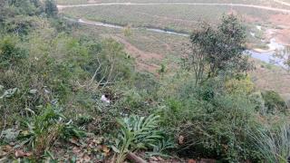 Misty Paradise - Vagamon - 4