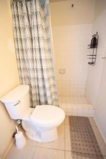 Waikiki Monarch Hotel Studio Near Waikiki - Mountain and City View - Full Kitchen - Honolulu - 5