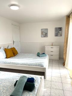 Rosny Sous Bois centre ville charmant appartement - Rosny-sous-Bois - 3