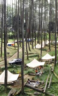 Lembah Pinus Cikole - Tangkubanperahu - 1