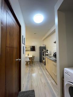 Jimenez's Modern Urban Oasis - 2
