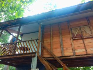 Sigiri Crown Nature Resort - 0