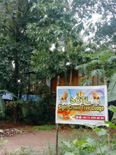 Sigiri Crown Tree Lodge - 0