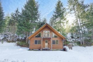 Bear Hideaway - Packwood - 8