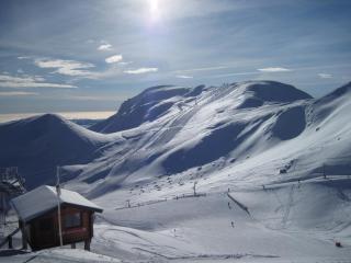 Les Camélias - Le Mont-Dore - 1