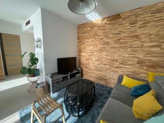 T2 vue Pyrénées au Sud de Toulouse - Toulouse - 5