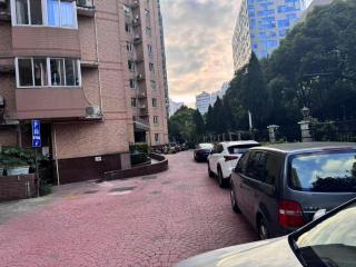 Sunny Abode创世纪花园 Deluxe three bedroom near Xujiahui - 1