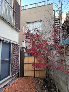 MIYABI Tateishi - Tokyo - 9