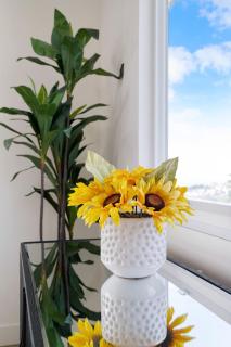 Oceanview Sunset View 3BR Luxe Home Yard - Pacifica - 7