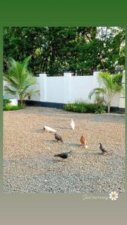 Radheyam - Alleppey - 0