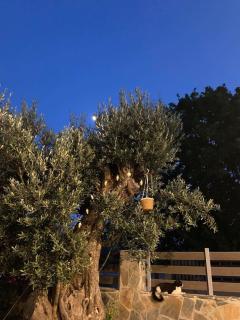 Myrteni guesthouse - 6