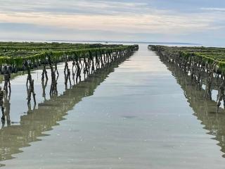 Gite du Corps de Garde - Bord de Mer Normandie - Saint-Germain-sur-Ay - 2