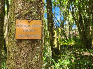 Sandile's Rest - Stutterheim - 5