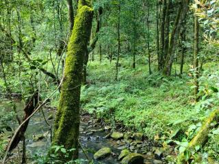 Sandile's Rest - Stutterheim - 3