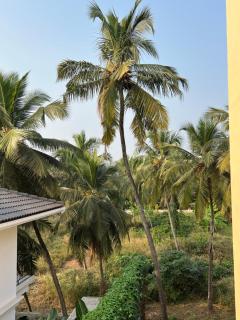 Falcons Nest - Colva - 9