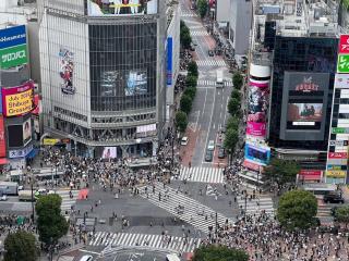 Near Shibuya 10 mins 6PPL direct access Ginza - Tokyo - 7