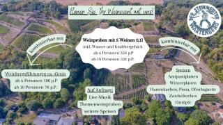 Ferienhaus Portugieser auf dem Weinberg - Naumburg - 2