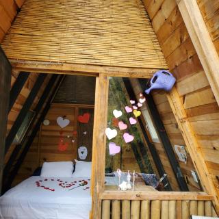 New Natural Paradise Amazing Pet Friendly Cabin - Xoxocotla - 9
