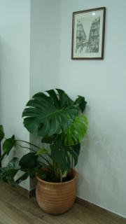 A Me Casa - Palermo - 6