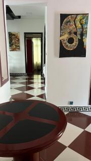 skyport villa - Città di Zanzibar - 3
