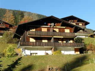Apartment Grindelwaldgletscher - GRIWA RENT AG - Grindelwald - 2