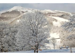 Heidihof Hotel - Hakuba - 3