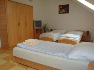 Penzion POMPANO - Hlohovec - 9