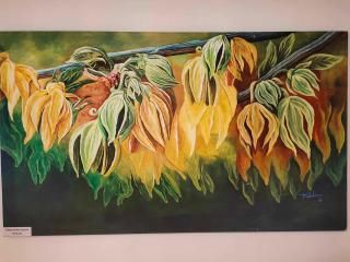 Ragara Beach Resort - Ylang Ylang ll - 4