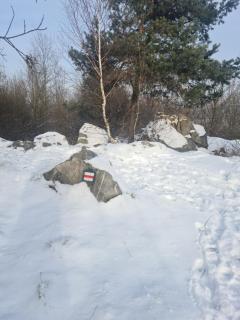 GÓRSKIE ZACISZE U MARZENY - Krajno Pierwsze - 8